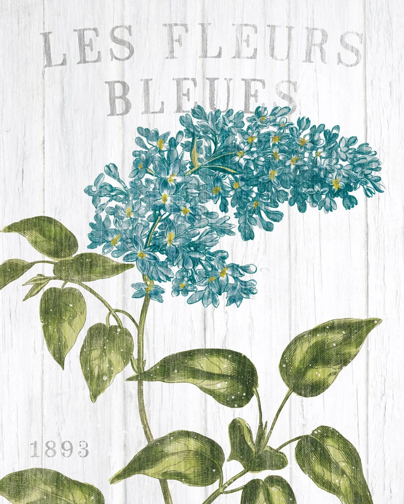 Fleuriste Paris V by Wild Apple Portfolio