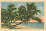 Florida Postcard III by Wild Apple Portfolio. SKU 57480i. Archival Giclee Fine art print for wall decor.
