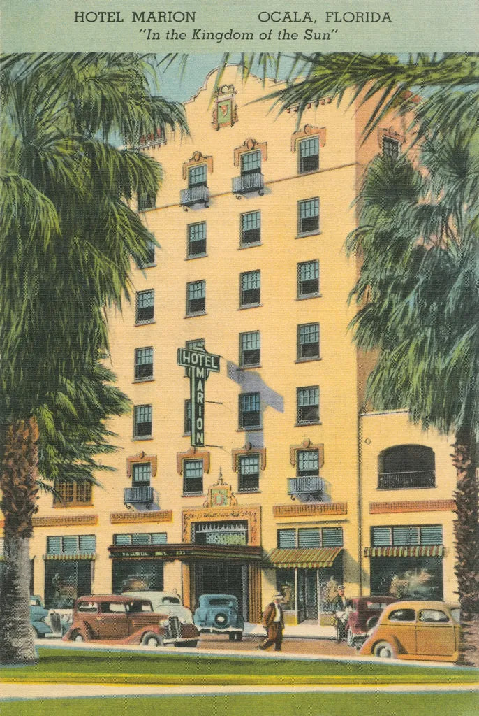 Florida Postcard V by Wild Apple Portfolio. SKU 57482h. Archival Giclee Fine art print for wall decor.