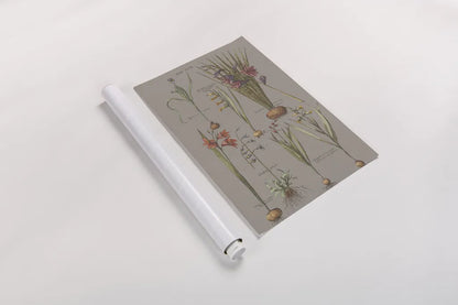 Florilegium III Gray by Wild Apple Portfolio. shown as a rolled paper print. Available as archival giclee rolled canvas, fine art paper, or poster print. SKU 63087h.