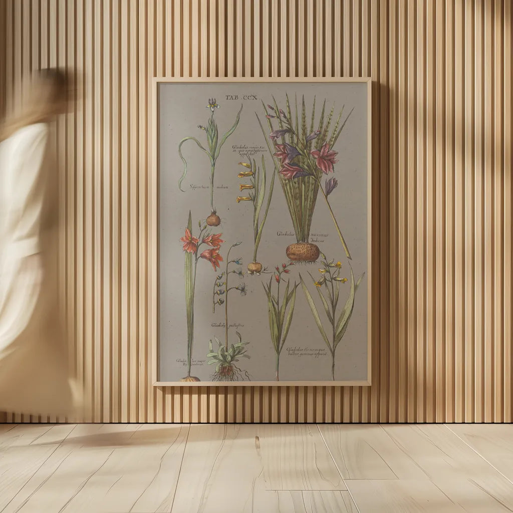 Florilegium III Gray by Wild Apple Portfolio. shown as over sized large wall art. Available as an archival giclee rolled canvas, fine art paper, or poster print. SKU 63087h.