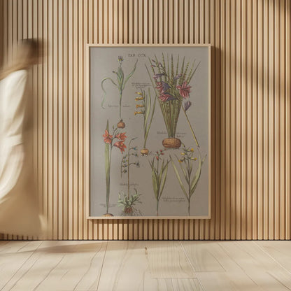 Florilegium III Gray by Wild Apple Portfolio. shown as over sized large wall art. Available as an archival giclee rolled canvas, fine art paper, or poster print. SKU 63087h.