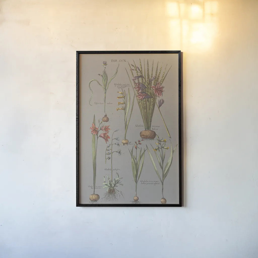 Florilegium III Gray by Wild Apple Portfolio. shown as a paper print in a black flame. Available as a archival giclee rolled canvas, fine art paper, or poster print. SKU 63087h.