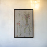 Florilegium III Gray by Wild Apple Portfolio. shown as a paper print in a black flame. Available as a archival giclee rolled canvas, fine art paper, or poster print. SKU 63087h.