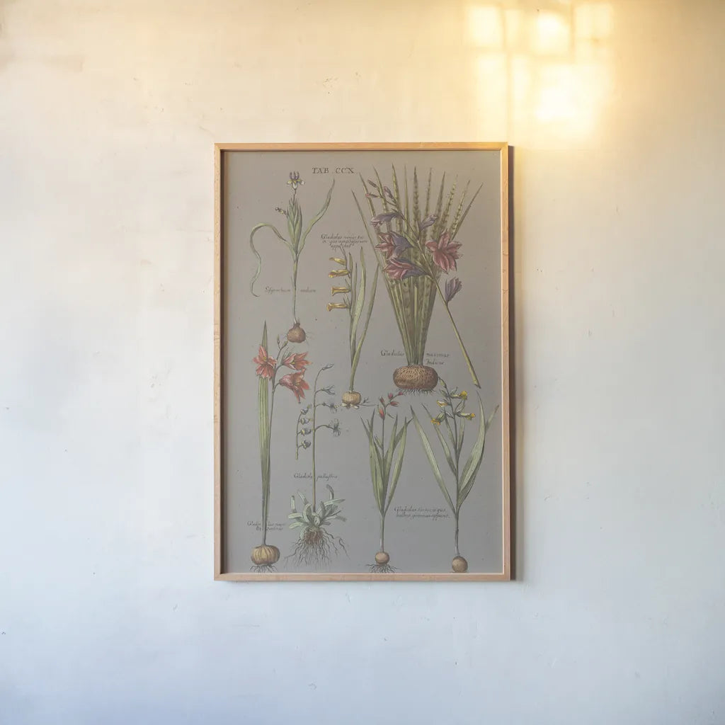 Florilegium III Gray by Wild Apple Portfolio. shown as a paper print in a natural frame. Available as a archival giclee rolled canvas, fine art paper, or poster print. SKU 63087h.
