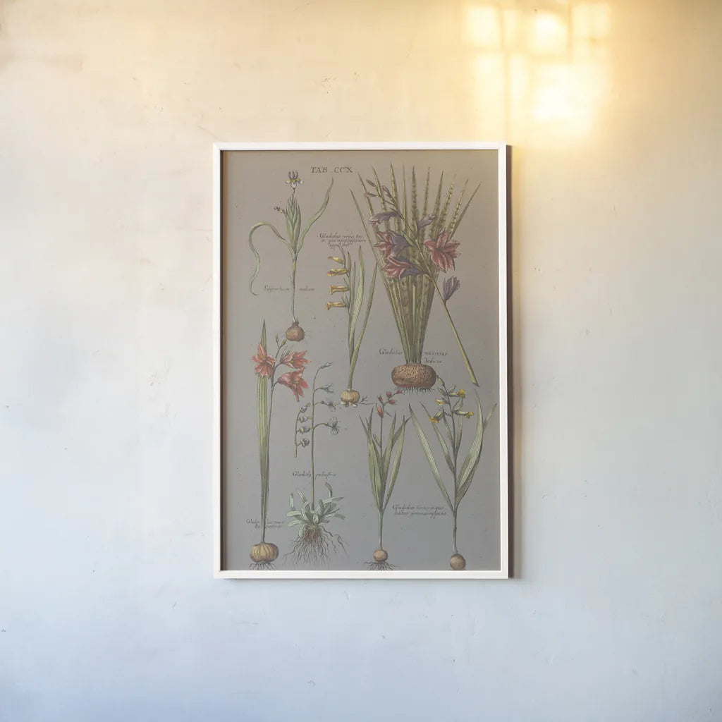 Florilegium III Gray by Wild Apple Portfolio. shown as a paper print in a white frame. Available as a archival giclee rolled canvas, fine art paper, or poster print. SKU 63087h.