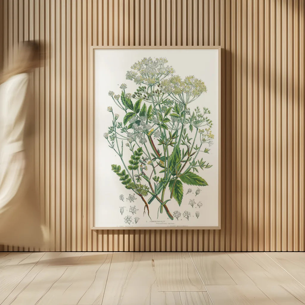 Flowering Plants I by Wild Apple Portfolio. shown as over sized large wall art. Available as an archival giclee rolled canvas, fine art paper, or poster print. SKU 52063h.