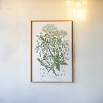 Flowering Plants I by Wild Apple Portfolio. shown as a paper print in a natural frame. Available as a archival giclee rolled canvas, fine art paper, or poster print. SKU 52063h.