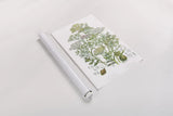 Flowering Plants II by Wild Apple Portfolio. shown as a rolled paper print. Available as archival giclee rolled canvas, fine art paper, or poster print. SKU 52064h.