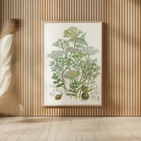 Flowering Plants II by Wild Apple Portfolio. shown as over sized large wall art. Available as an archival giclee rolled canvas, fine art paper, or poster print. SKU 52064h.