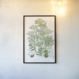 Flowering Plants II by Wild Apple Portfolio. shown as a paper print in a black flame. Available as a archival giclee rolled canvas, fine art paper, or poster print. SKU 52064h.