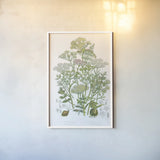Flowering Plants II by Wild Apple Portfolio. shown as a paper print in a white frame. Available as a archival giclee rolled canvas, fine art paper, or poster print. SKU 52064h.