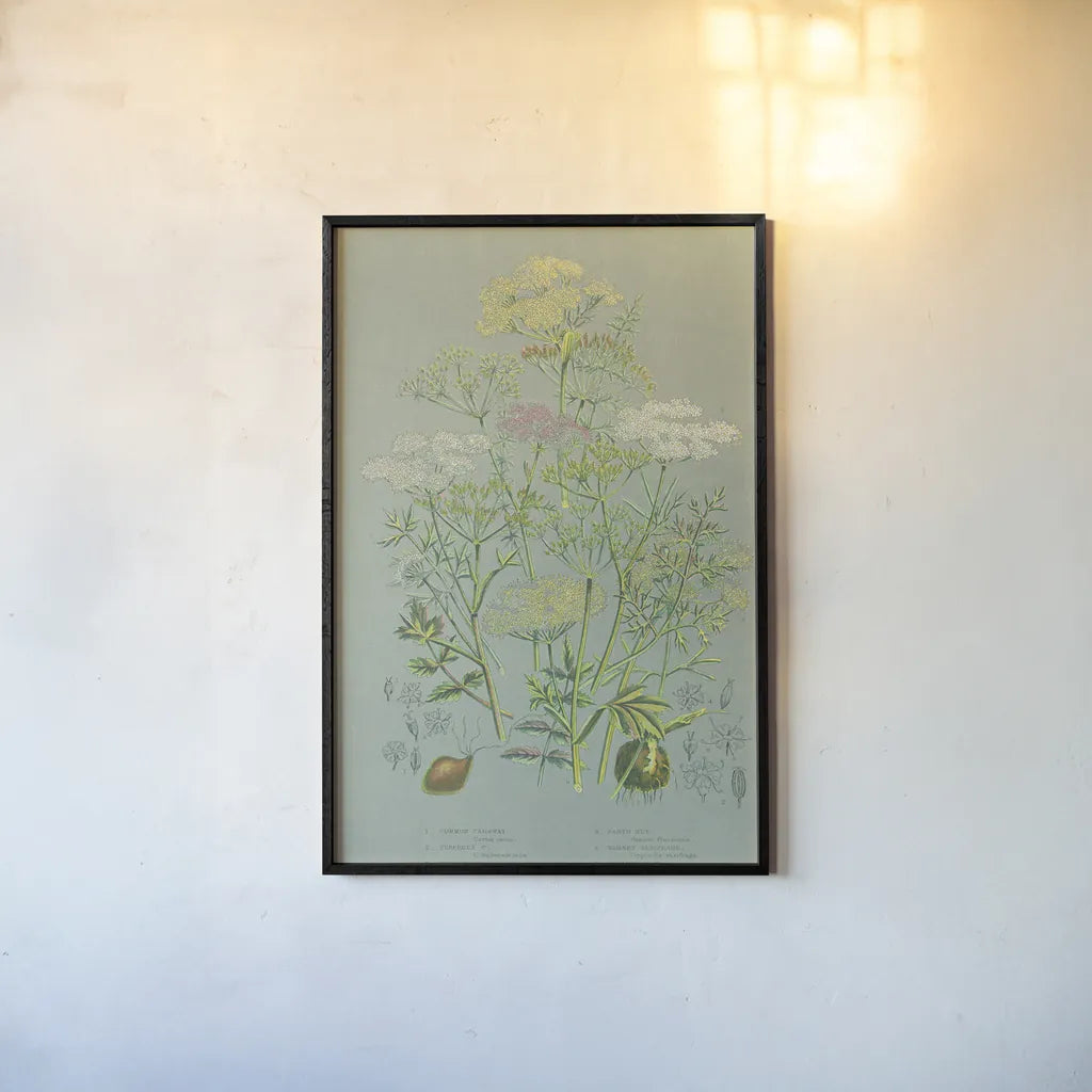 Flowering Plants II Green Linen by Wild Apple Portfolio. shown as a paper print in a black flame. Available as a archival giclee rolled canvas, fine art paper, or poster print. SKU 63054h.