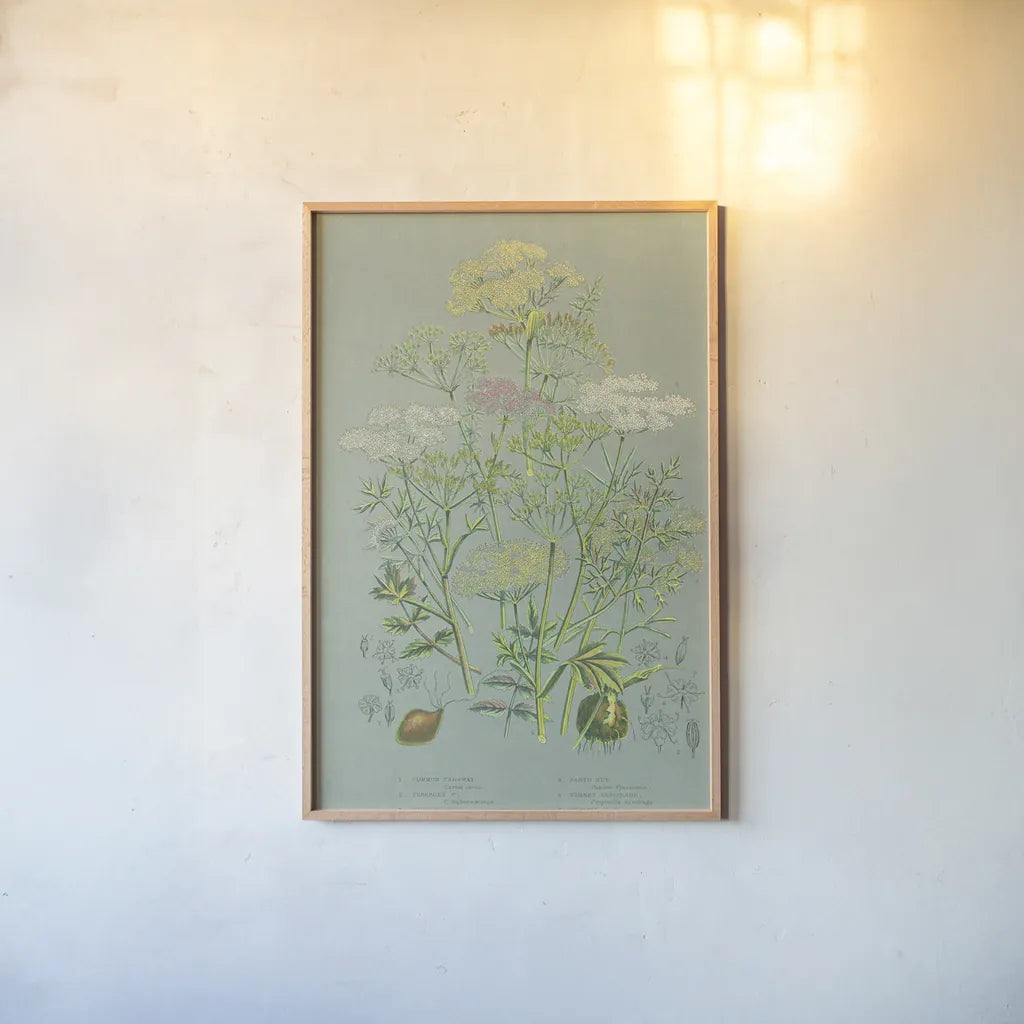 Flowering Plants II Green Linen by Wild Apple Portfolio. shown as a paper print in a natural frame. Available as a archival giclee rolled canvas, fine art paper, or poster print. SKU 63054h.