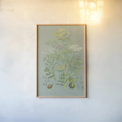 Flowering Plants II Green Linen by Wild Apple Portfolio. shown as a paper print in a natural frame. Available as a archival giclee rolled canvas, fine art paper, or poster print. SKU 63054h.