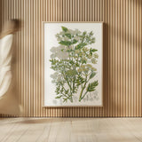 Flowering Plants III by Wild Apple Portfolio. shown as over sized large wall art. Available as an archival giclee rolled canvas, fine art paper, or poster print. SKU 52065h.