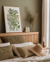 Flowering Plants III by Wild Apple Portfolio. shown as a paper print in a natural frame. Available as a archival giclee rolled canvas, fine art paper, or poster print. SKU 52065h.