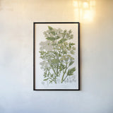 Flowering Plants III by Wild Apple Portfolio. shown as a paper print in a black flame. Available as a archival giclee rolled canvas, fine art paper, or poster print. SKU 52065h.