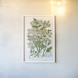 Flowering Plants III by Wild Apple Portfolio. shown as a paper print in a white frame. Available as a archival giclee rolled canvas, fine art paper, or poster print. SKU 52065h.