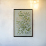 Flowering Plants III Green Linen by Wild Apple Portfolio. shown as a paper print in a black flame. Available as a archival giclee rolled canvas, fine art paper, or poster print. SKU 63055h.