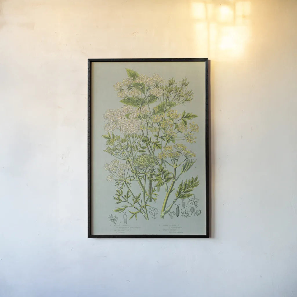 Flowering Plants III Green Linen by Wild Apple Portfolio. shown as a paper print in a black flame. Available as a archival giclee rolled canvas, fine art paper, or poster print. SKU 63055h.