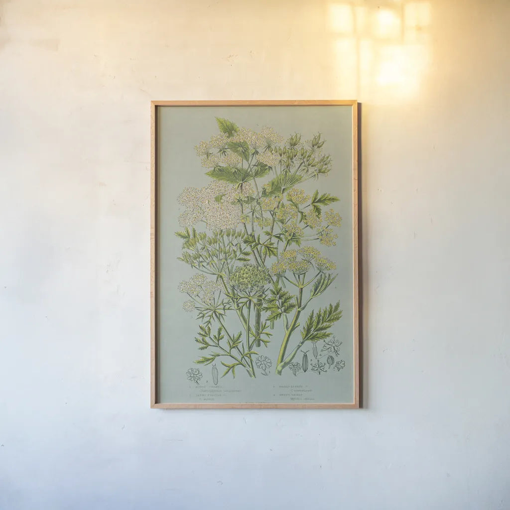 Flowering Plants III Green Linen by Wild Apple Portfolio. shown as a paper print in a natural frame. Available as a archival giclee rolled canvas, fine art paper, or poster print. SKU 63055h.