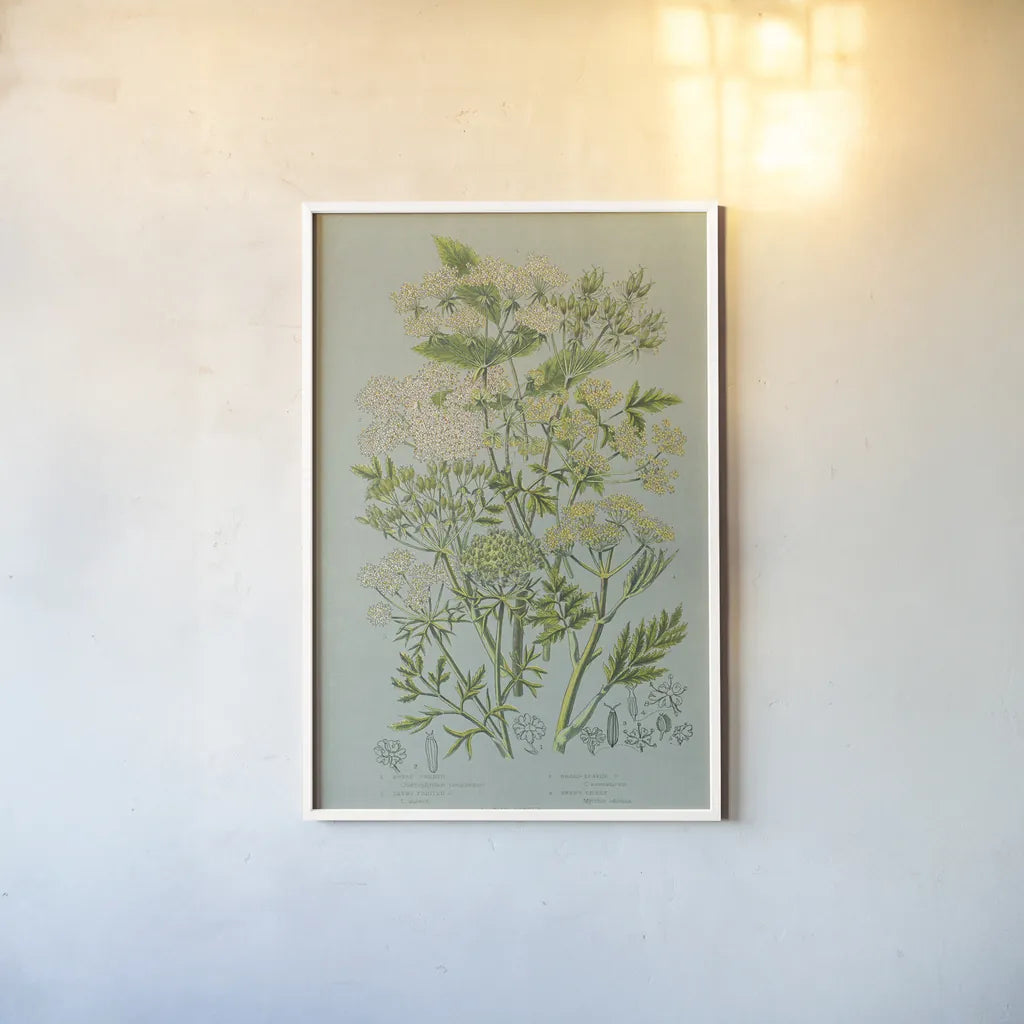 Flowering Plants III Green Linen by Wild Apple Portfolio. shown as a paper print in a white frame. Available as a archival giclee rolled canvas, fine art paper, or poster print. SKU 63055h.