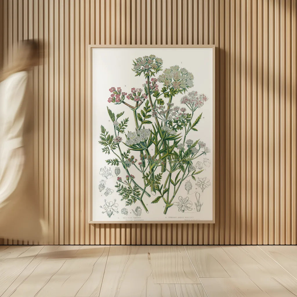 Flowering Plants IV by Wild Apple Portfolio. shown as over sized large wall art. Available as an archival giclee rolled canvas, fine art paper, or poster print. SKU 52066h.