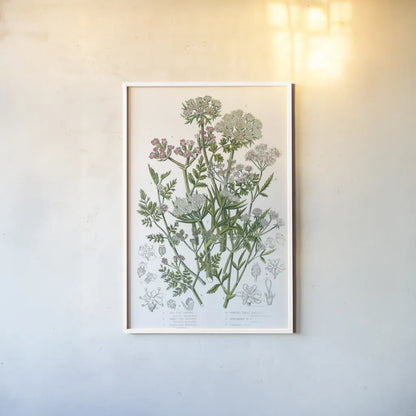 Flowering Plants IV by Wild Apple Portfolio. shown as a paper print in a white frame. Available as a archival giclee rolled canvas, fine art paper, or poster print. SKU 52066h.