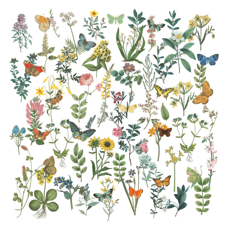 Flowers and Butterflies by Wild Apple Portfolio. SKU 62758a. Archival Giclee Fine art print for wall decor.