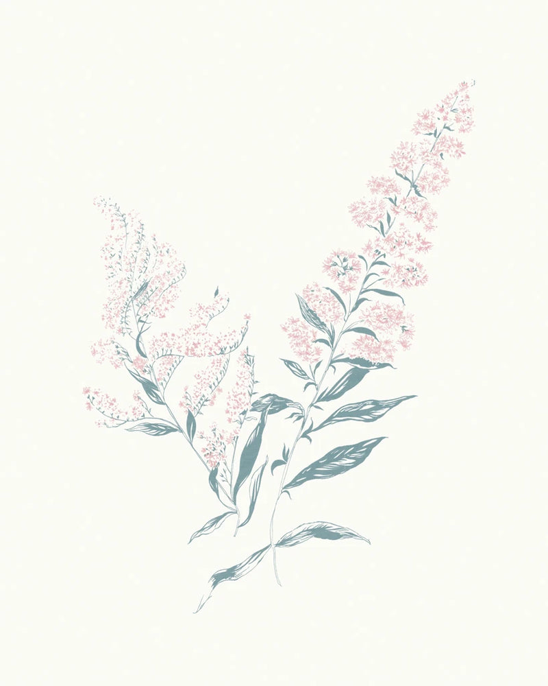 Flowers on White I Contemporary by Wild Apple Portfolio