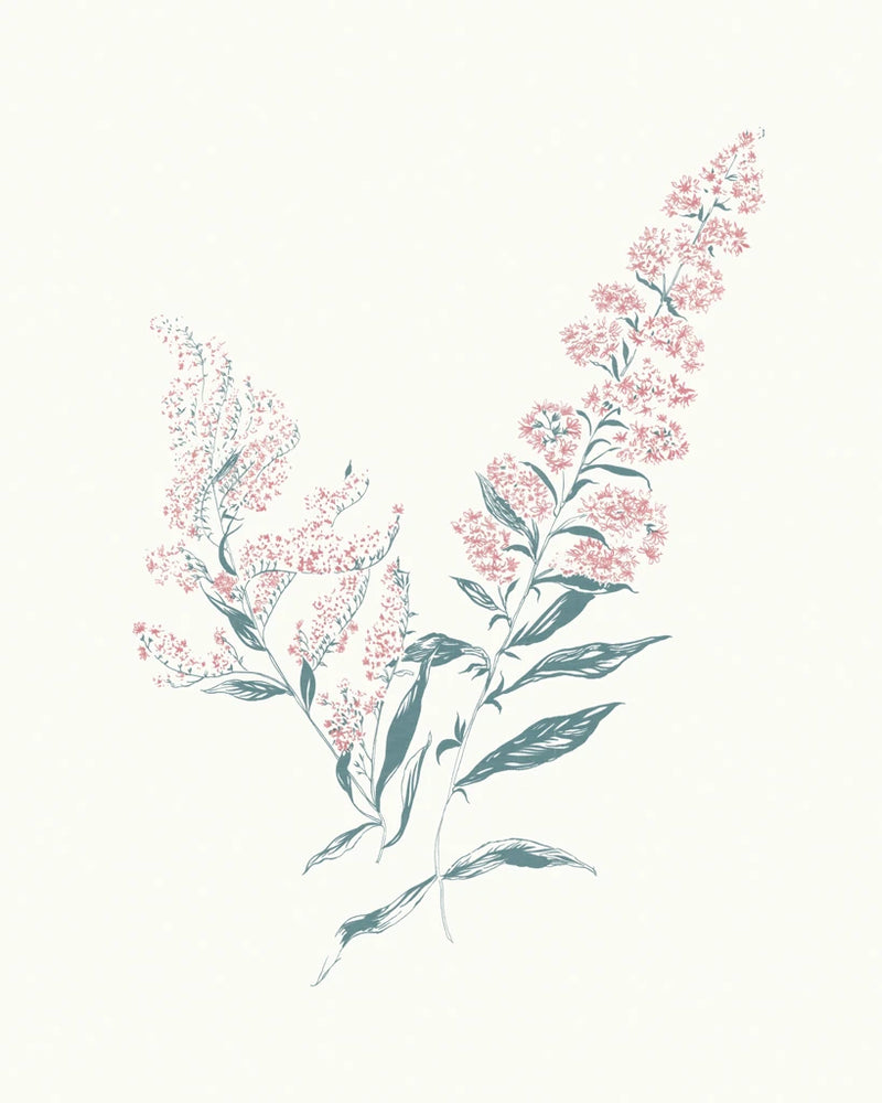 Flowers on White I Contemporary Bright by Wild Apple Portfolio