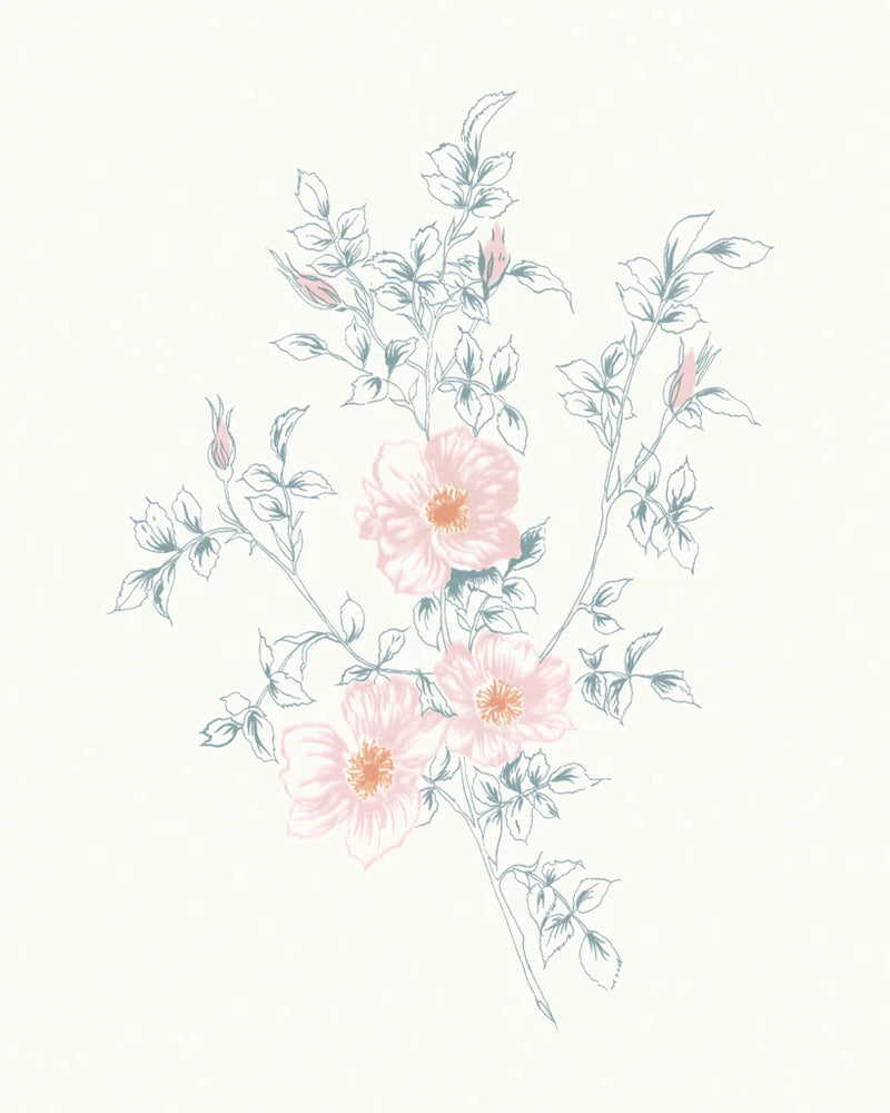 Flowers on White II Contemporary by Wild Apple Portfolio