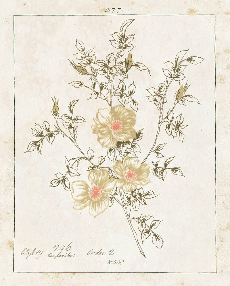 Flowers on White II with Words by Wild Apple Portfolio