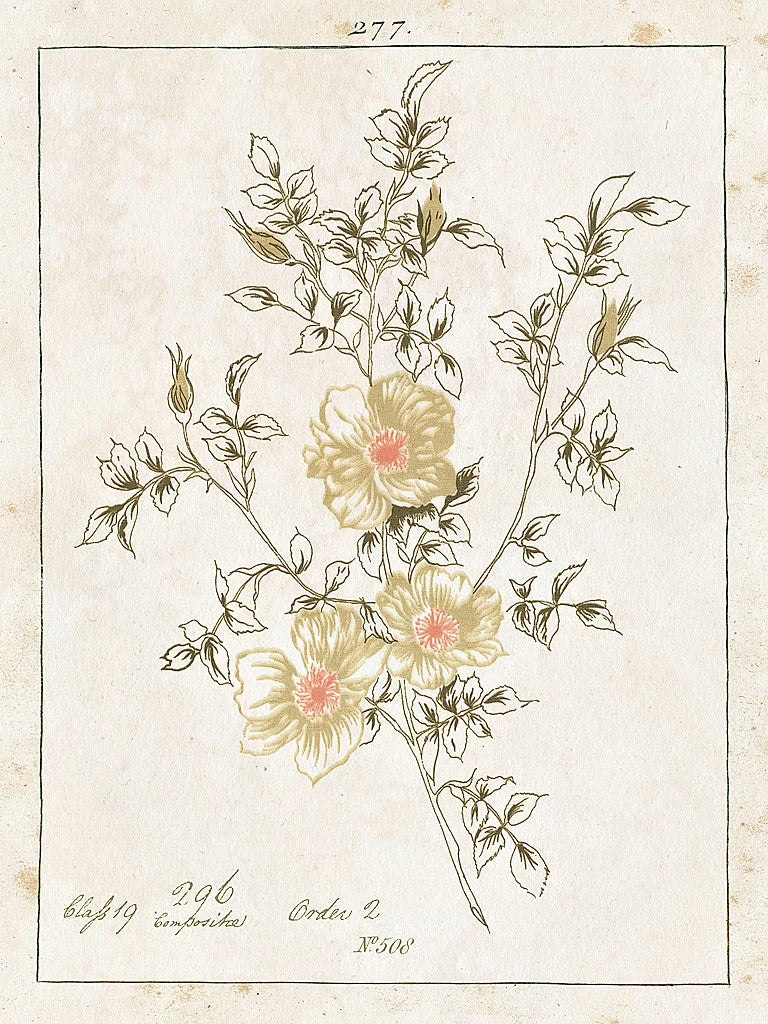 Flowers on White II with Words by Wild Apple Portfolio