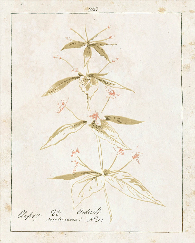 Flowers on White III with Words by Wild Apple Portfolio