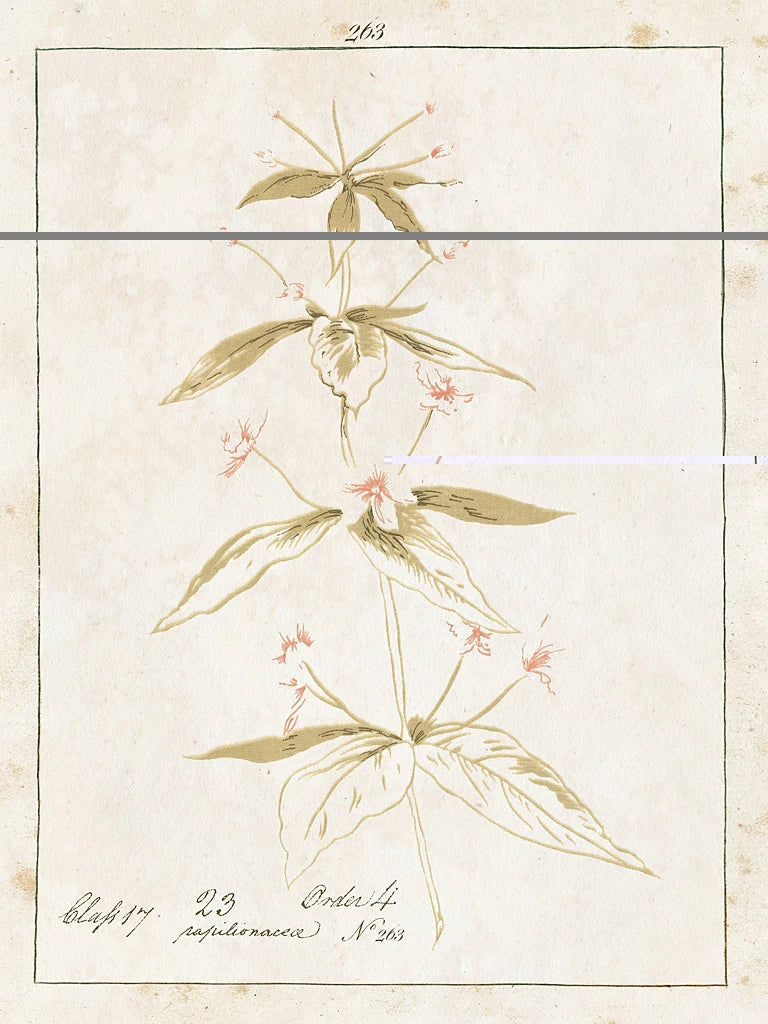 Flowers on White III with Words by Wild Apple Portfolio