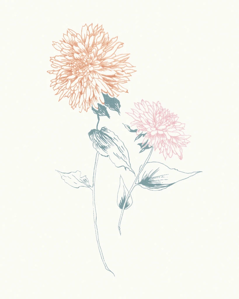 Flowers on White IV Contemporary by Wild Apple Portfolio
