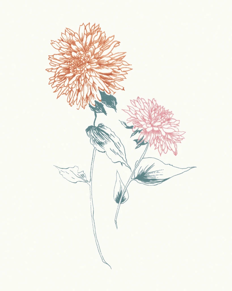 Flowers on White IV Contemporary Bright by Wild Apple Portfolio