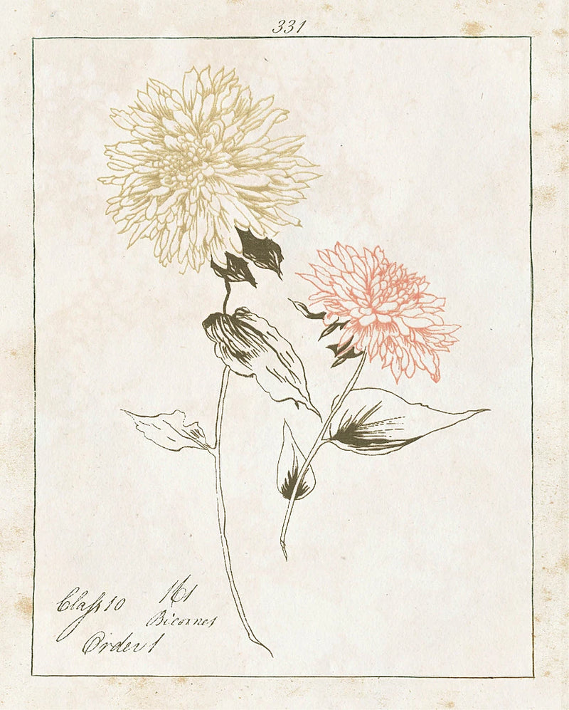 Flowers on White IV with Words by Wild Apple Portfolio