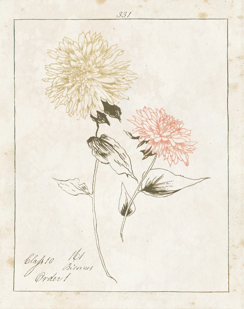 Flowers on White IV with Words by Wild Apple Portfolio
