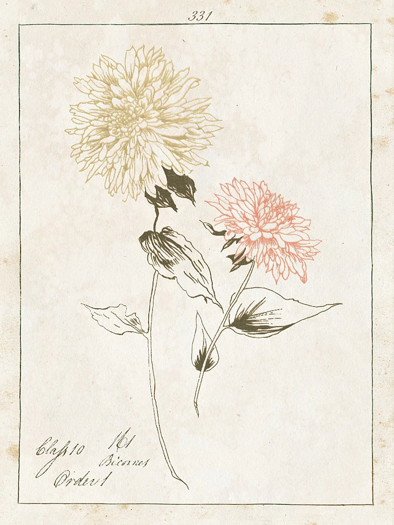 Flowers on White IV with Words by Wild Apple Portfolio