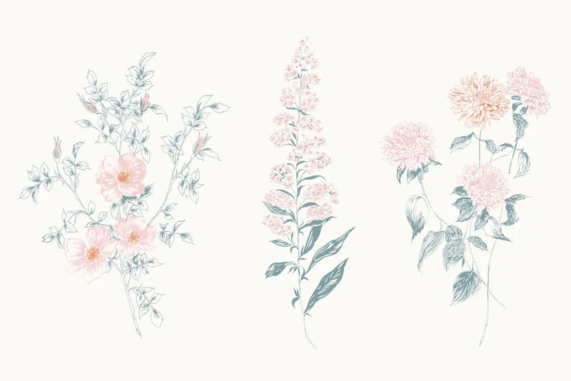 Flowers on White IX Contemporary by Wild Apple Portfolio. SKU 44430i. Archival Giclee Fine art print for wall decor.