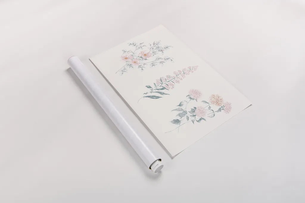 Flowers on White IX Contemporary by Wild Apple Portfolio. shown as a rolled paper print. Available as archival giclee rolled canvas, fine art paper, or poster print. SKU 44430i.