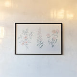 Flowers on White IX Contemporary by Wild Apple Portfolio. shown as a paper print in a black flame. Available as a archival giclee rolled canvas, fine art paper, or poster print. SKU 44430i.