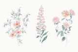 Flowers on White IX Contemporary Bright by Wild Apple Portfolio. SKU 48807i. Archival Giclee Fine art print for wall decor.