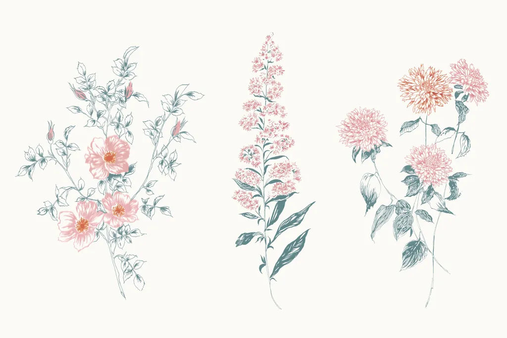 Flowers on White IX Contemporary Bright by Wild Apple Portfolio. SKU 48807i. Archival Giclee Fine art print for wall decor.