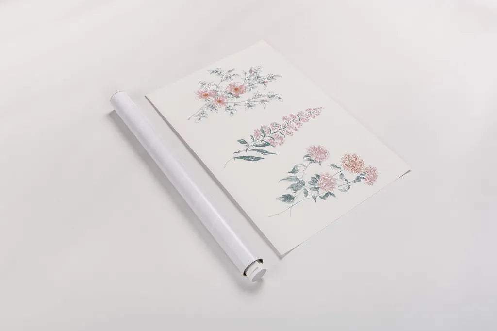 Flowers on White IX Contemporary Bright by Wild Apple Portfolio. shown as a rolled paper print. Available as archival giclee rolled canvas, fine art paper, or poster print. SKU 48807i.