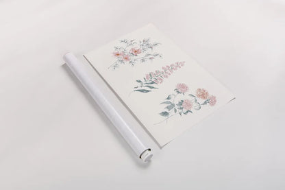 Flowers on White IX Contemporary Bright by Wild Apple Portfolio. shown as a rolled paper print. Available as archival giclee rolled canvas, fine art paper, or poster print. SKU 48807i.