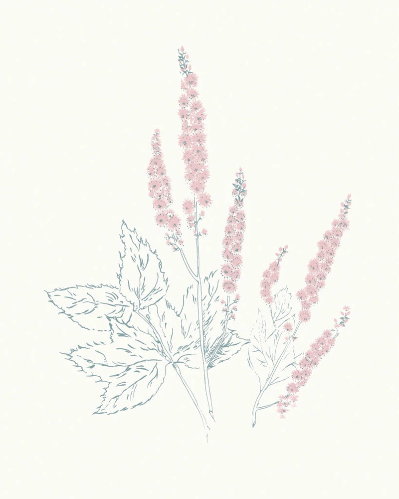 Flowers on White VII Contemporary by Wild Apple Portfolio